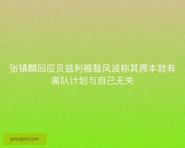 张镇麟回应贝兹利被裁风波称其原本就有离队计划与自己无关